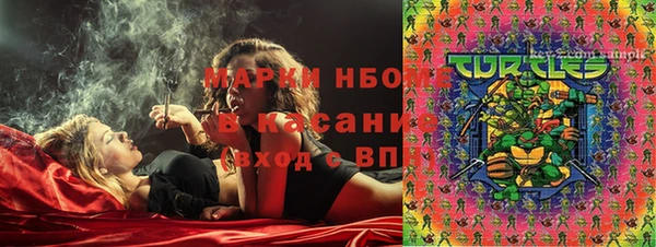 прущие крисы Аркадак
