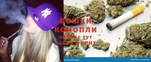 крисы Армянск